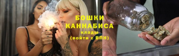 шишки Алексеевка
